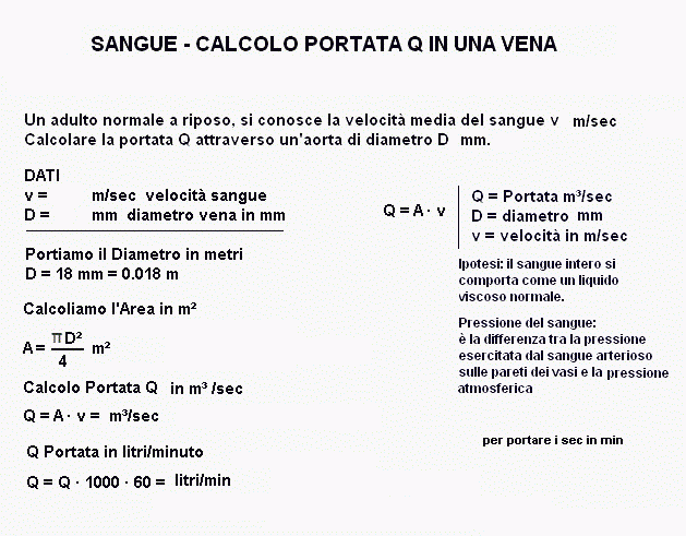 fis306-stampa